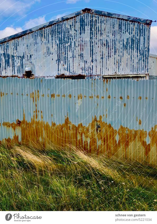 Iceland, mon amour Tin Hut Grass Nature Exterior shot Colour photo Landscape Loneliness Building Sky Day Meadow Deserted House (Residential Structure)