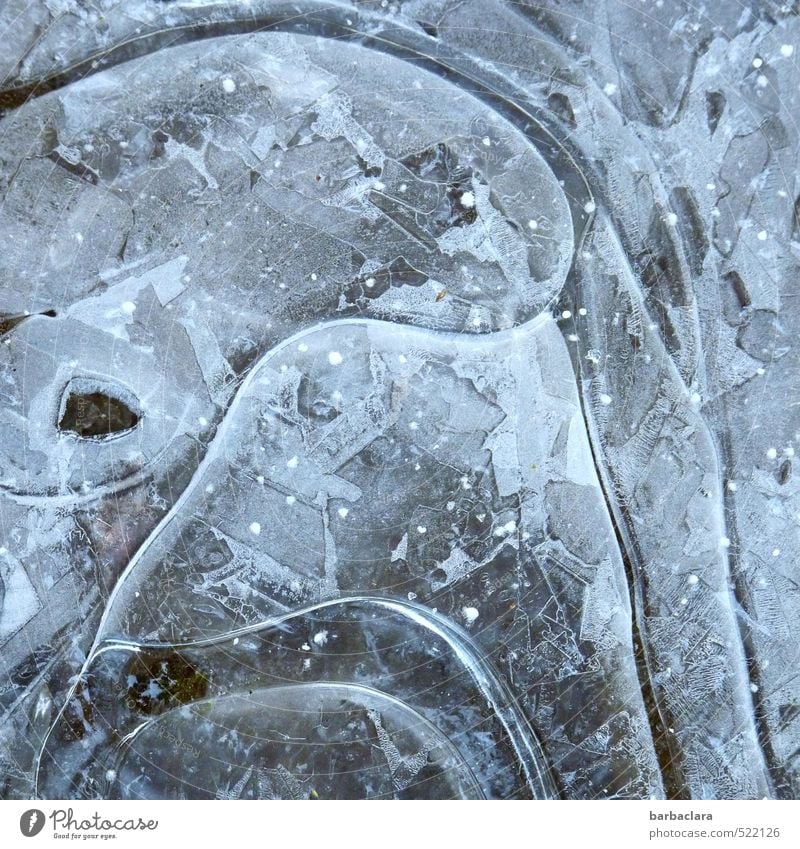 ice art Earth Winter Ice Frost Water Sign Line Structures and shapes Exceptional Firm Cold Wild Blue Esthetic Bizarre Inspiration Creativity Nature Style