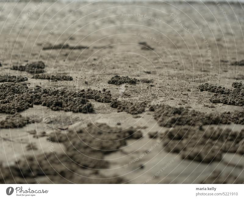 Sand by the lake on holidays grey Gray Beach Sandy beach Ground