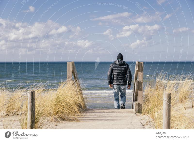 Back view of man in winter jacket walking on dune down stairs to beach Man Beach Beach dune duene Lanes & trails Stairs Grass Wood planks Winter Spring Ocean