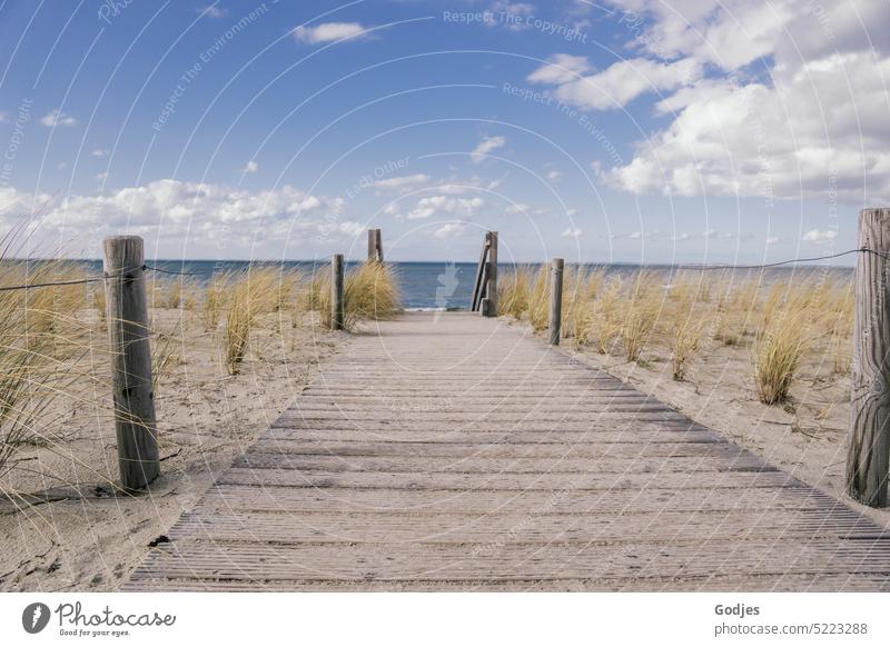 Path made of wooden planks on a sand dune with a view of the Baltic Sea Lanes & trails Wood planks duene coast Nature Beach Landscape Ocean Sky Exterior shot