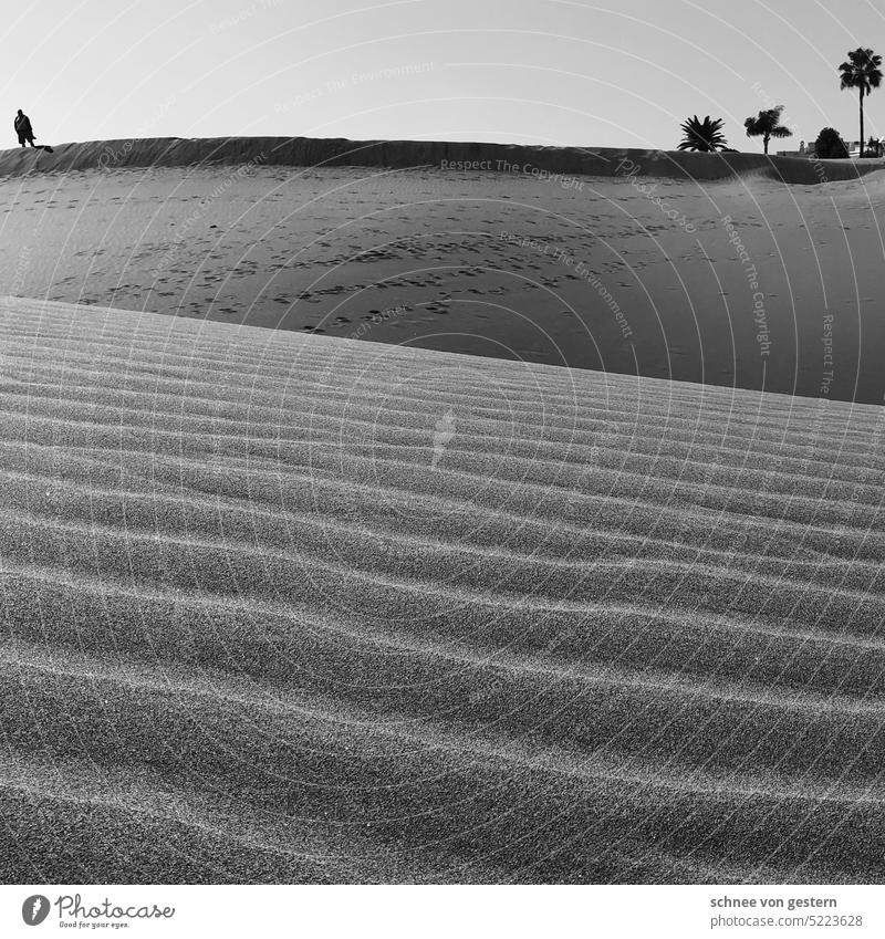 Still bw Desert Sand Beach dune Camel Sky Dromedary Vacation & Travel Morocco duene Hot Adventure Warmth Tourism Summer Exterior shot Shadow Landscape Safari