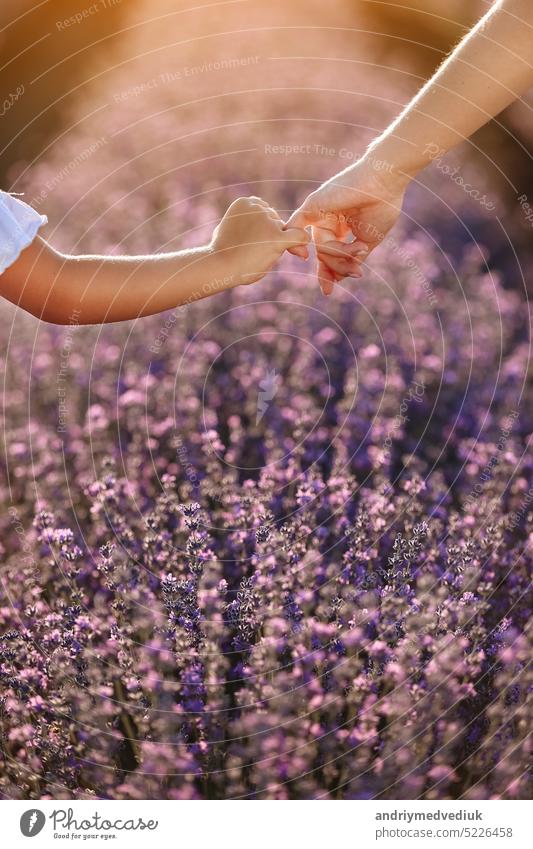 Happy family day. Mom holds her child daughter by hand in lavender field on summer day. Family outdoors in nature on sunset. Motherhood, childhood and care concept. Mothers day. Sun rays.