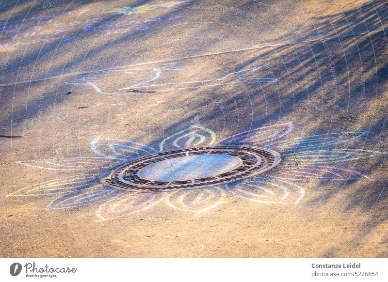 Second flowering manhole cover in sunlight slop Chalk drawing Flower blossom Sunlight colored Drawing Shadow play pretty Playing Street painting Infancy