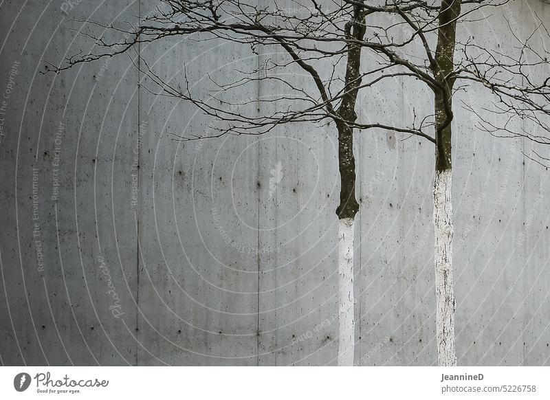 two bare trees in front of concrete wall Tone-on-tone White Concrete Bleak bare branches sad Twigs and branches Branches and twigs urban Winter Wall (building)