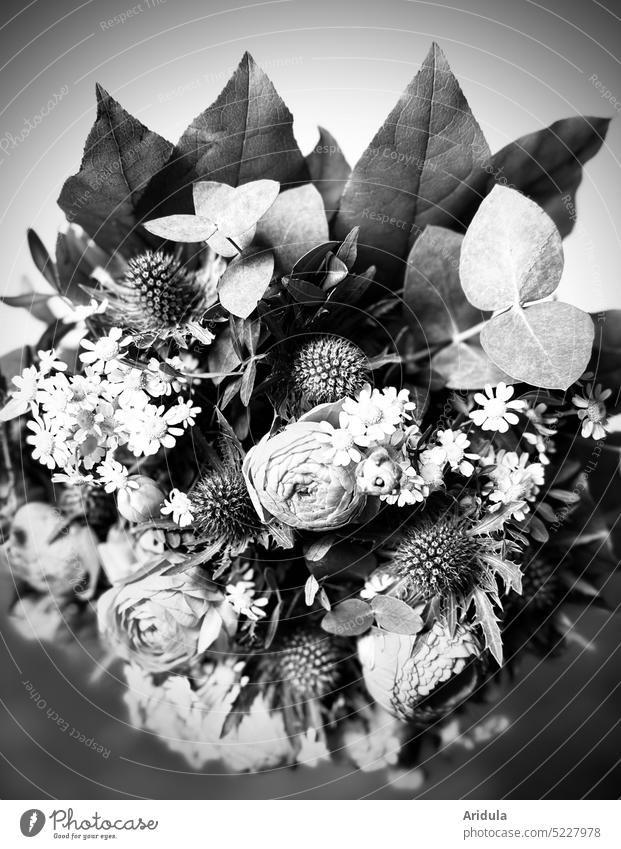 Bouquet | the opposite of ... roses Diesteln leaves Blossom Flower romantic Decoration Wedding Gift Transience Ostrich flowers Contrast Love Death Sadness Grief