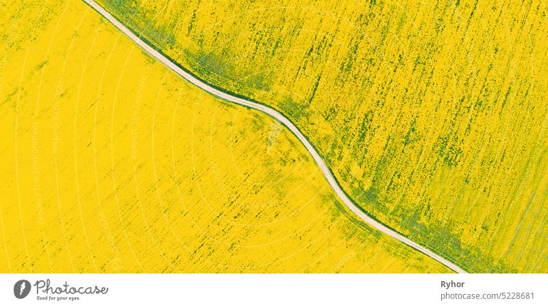 Aerial View Of Agricultural Landscape With Flowering Blooming Rapeseed, Oilseed In Field Meadow In Spring Season. Blossom Of Canola Yellow Flowers. Beautiful Rural Background Backdrop