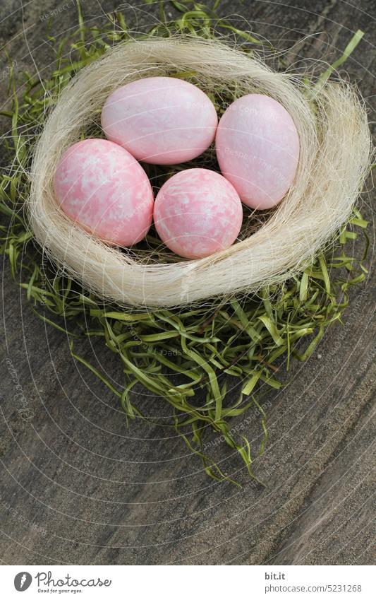 Happy Easter... Easter egg Easter egg nest Egg Decoration Tradition Feasts & Celebrations Spring Symbols and metaphors Nest Nature