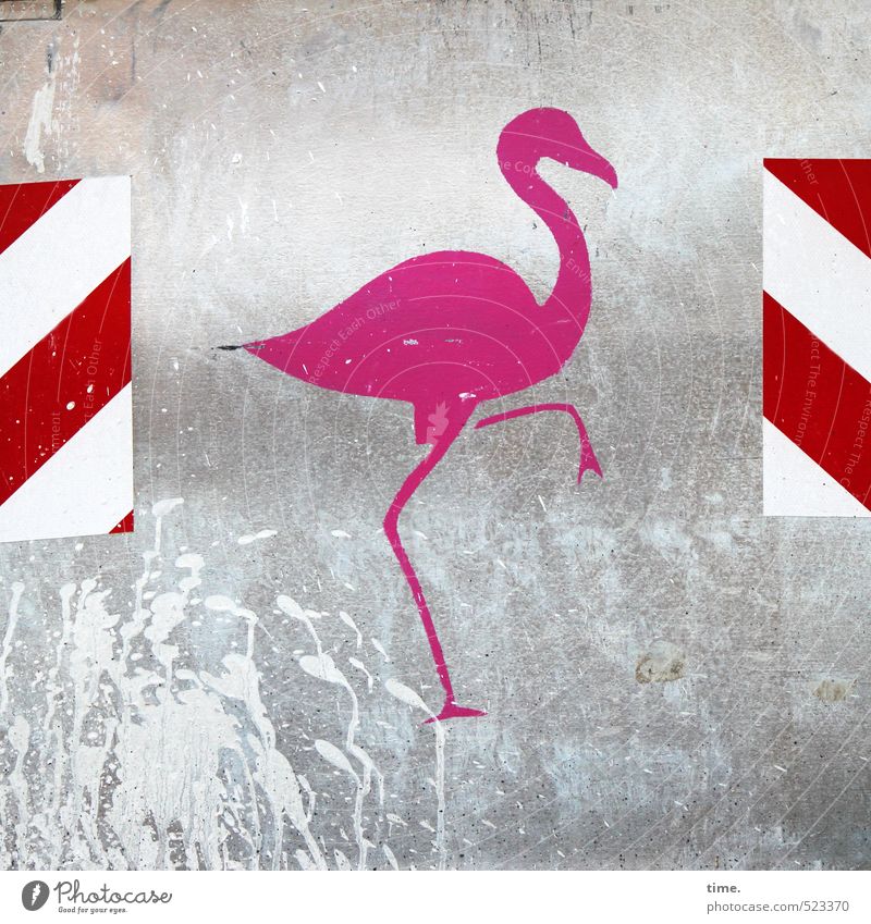 Dance Step One Construction site Container Building rubble Services Craft (trade) Animal Flamingo 1 Decoration Metal Plastic Signs and labeling Signage
