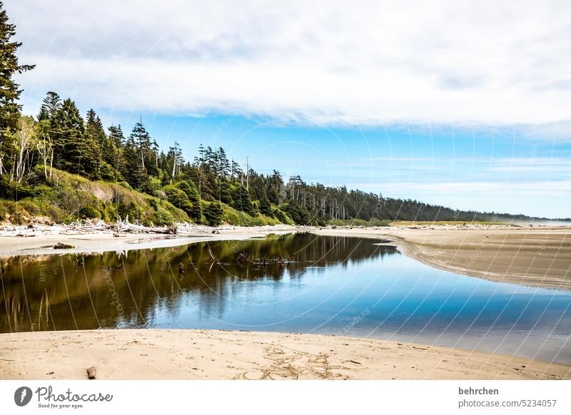 mirror stories Reflection reflection Reflection in the water Beach Clouds Landscape Nature coast wide Wanderlust Sky Ocean Idyll Longing Vacation & Travel