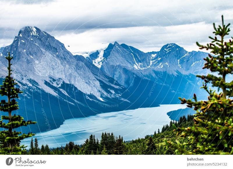 favorite places Lake Maligne Glacier Weather Clouds Impressive high up Rocky Mountains Wanderlust Vacation & Travel Freedom Forest Far-off places Deserted