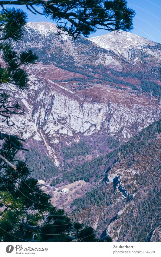 Pine branches in front of the view of the depths, valley in the foothills of the Pyrenees pines twigs pine branches Looking Valley Spain Catalonia