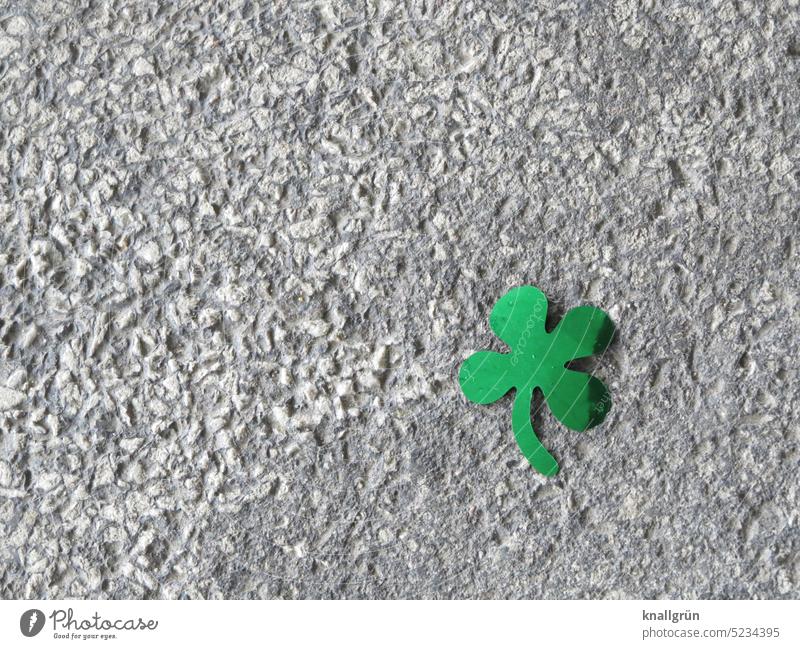 lucky clover Happy Symbols and metaphors Good luck charm Cloverleaf Plant Green Four-leafed clover Close-up Four-leaved Colour photo Leaf Popular belief