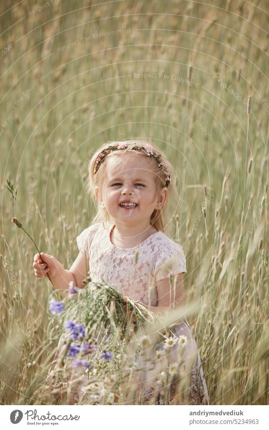 little girl in a wheat field. little girl with a bouquet of wheat in the sunlight. outdoor shot grandpa summer nature person white countryside childhood natural