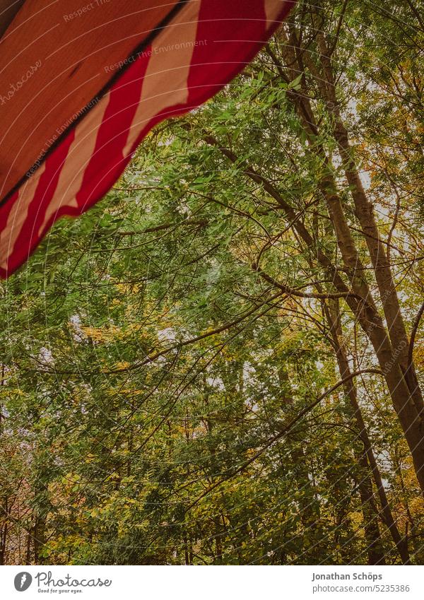 Awning with a view of the forest Sun blind Red Forest Festive Roof canopy trees Nature Green Exterior shot Colour photo Environment festivity
