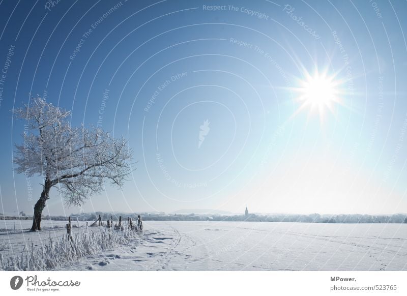 hot&cold Environment Horizon Far-off places Nature Landscape Water Beautiful weather Ice Frost Snow Bright Cool (slang) Snowscape Tree Frozen Cold Cloudless sky