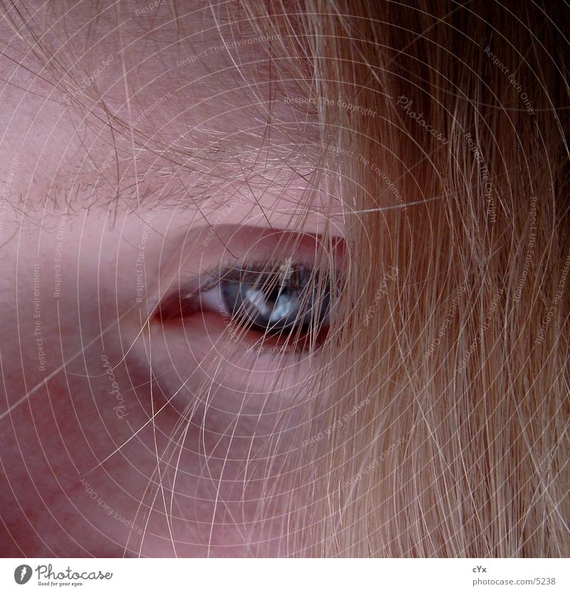 hairy Blonde Concealed Eyebrow Eyelash Human being Eyes Hair and hairstyles Face Detail Looking