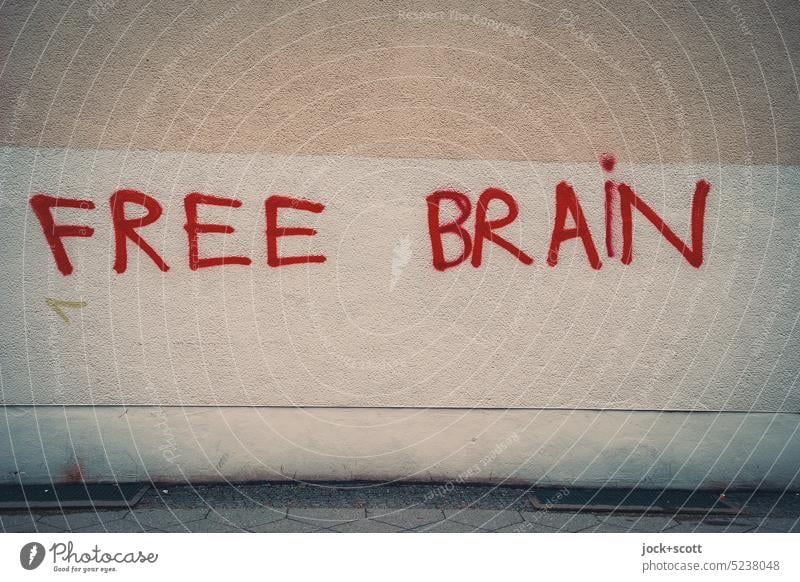 FREE BRAIN free brain Free Think Street art house wall Daub Characters Spray Word English Creativity Subdued colour Graffiti Capital letter Handwriting