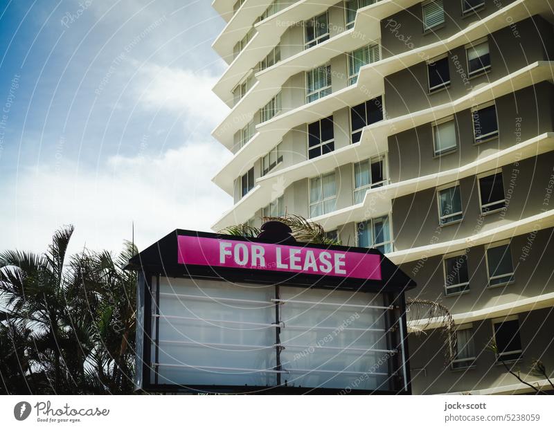 FOR RENT for hire House (Residential Structure) Facade Past Out of service Palm tree English Lightbox Authentic Neutral Background Modern Style Warmth