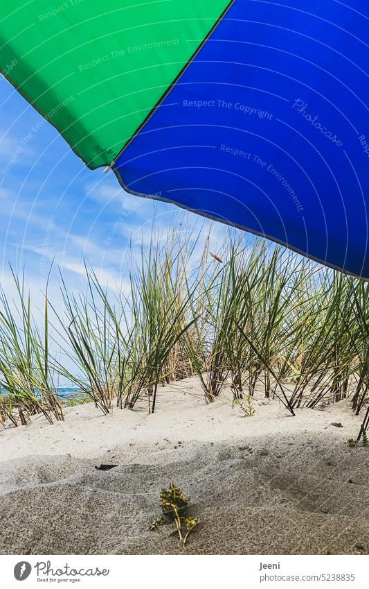 summer feelings Umbrellas & Shades Sunshade Summer Sky Beach Vacation & Travel Blue Green Summer vacation Ocean Beach dune duene coast Marram grass Baltic Sea
