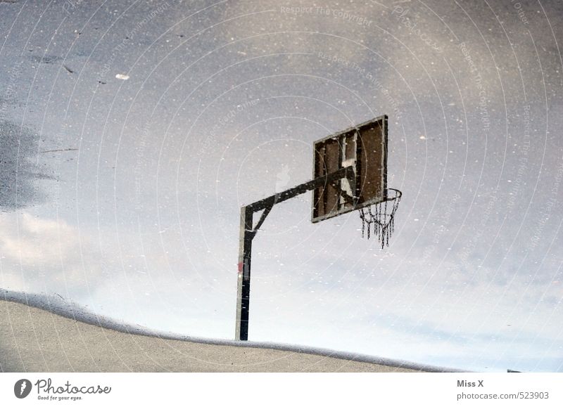 mirrors Sports Ball sports Sporting Complex Water Bad weather Rain Wet Basketball basket Playing field Puddle Colour photo Exterior shot Deserted