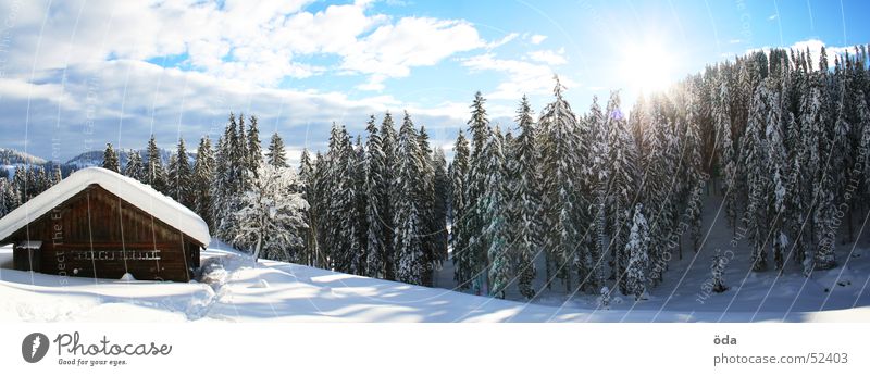 cabin panorama Winter Forest Tree Snow Cold Deep snow Panorama (View) Alpine pasture Hut Sun Large Panorama (Format)