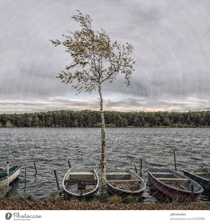 rear lake Nature Landscape Water Sky Clouds Autumn Weather Bad weather Wind Tree Lakeside Rowboat Birch tree Forest Waves bank Colour photo Exterior shot