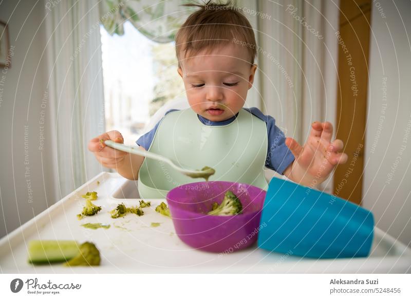 Cute baby eating first solid food, infant sitting in high chair. Child tasting vegetables at the table, discovering new food. Cozy kitchen interior. Healthy food concept.