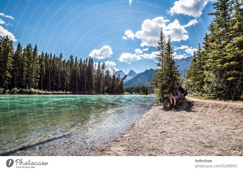 Everything is in flux Water Adventure trees Forest Far-off places River Vacation & Travel Wanderlust Banff National Park Alberta Rocky Mountains North America