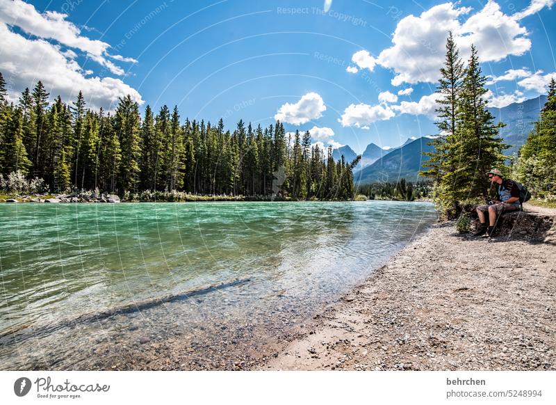 Everything is in flux Water Adventure trees Forest Far-off places River Vacation & Travel Wanderlust Banff National Park Alberta Rocky Mountains North America