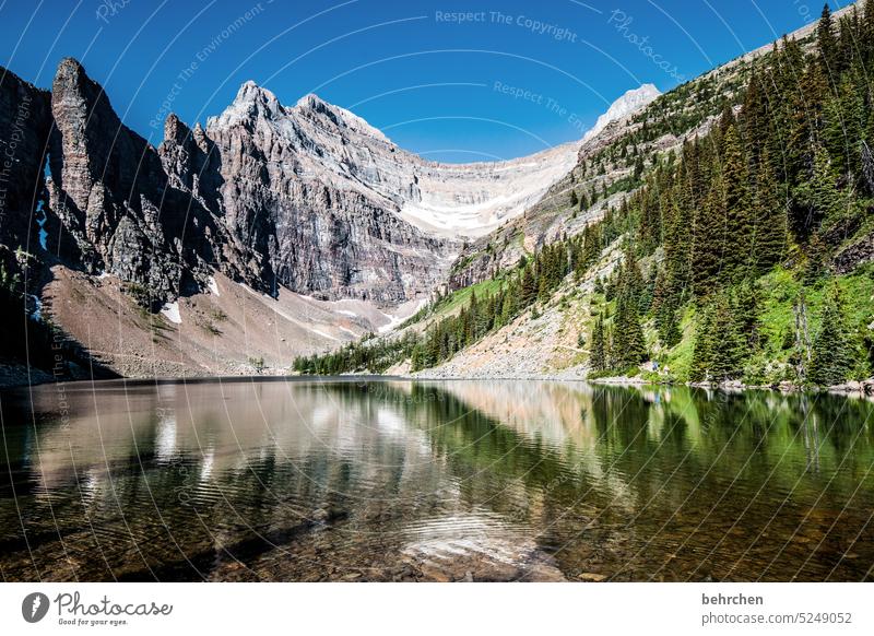 mirror stories Vacation & Travel Fantastic Colour photo North America Rocky Mountains Exterior shot Lake Landscape Canada Nature Adventure Alberta especially