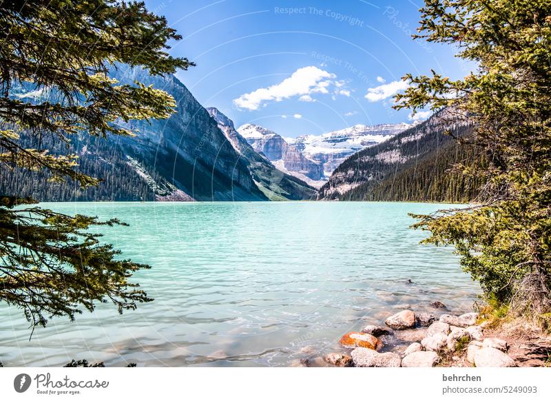 milk bath Peaceful silent Lonely Loneliness Sky Glacier Banff National Park mountain lake wide especially Far-off places Vacation & Travel Wanderlust Tourism