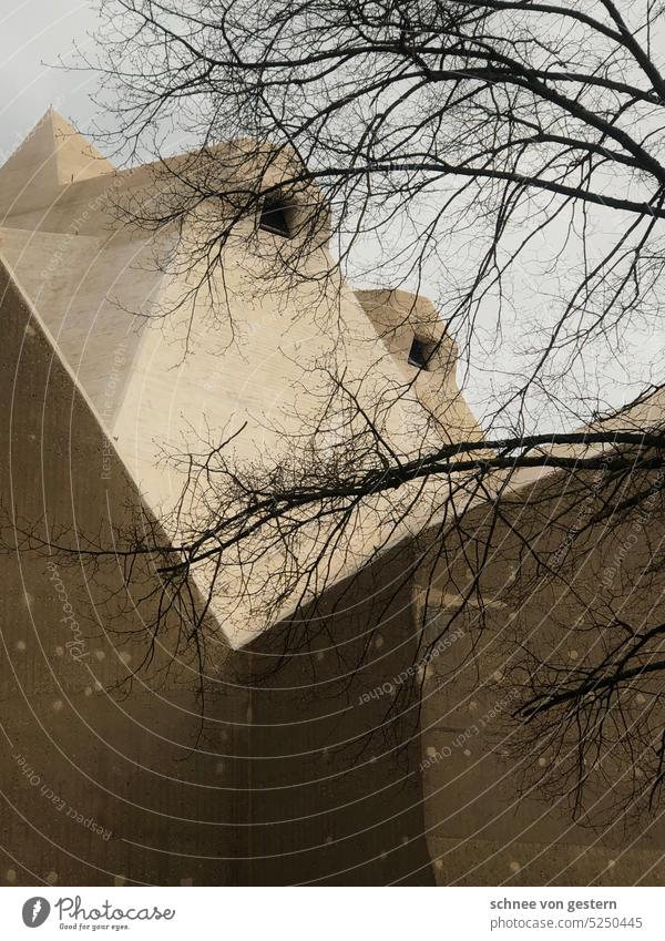 Tree in front of glacier Architecture Manmade structures Exterior shot Colour photo Deserted House (Residential Structure) Gloomy Copy Space top Sky Building