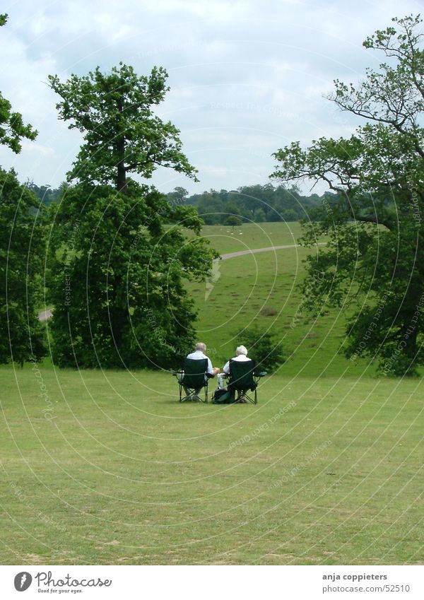 An afternoon in the park Park Green Human being grass chairs Sit
