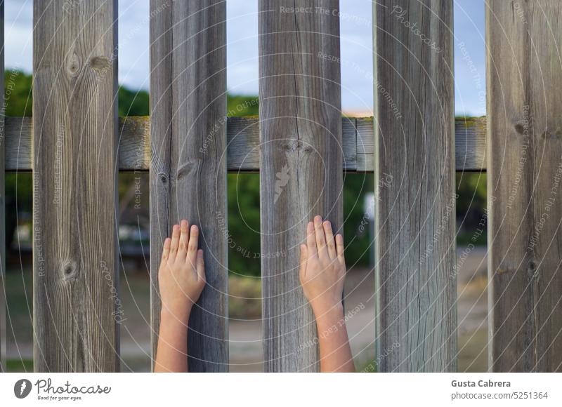 Hands resting on a wooden fence. hands Fence Colour photo Exterior shot Wooden fence Garden fence conceptual Day Border Contrast Fence post