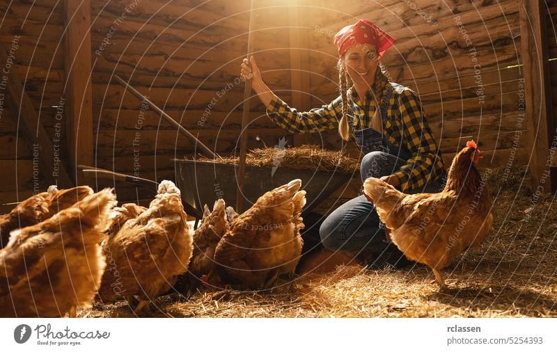 Coomer Farm- Exhibition Poultry & Equine