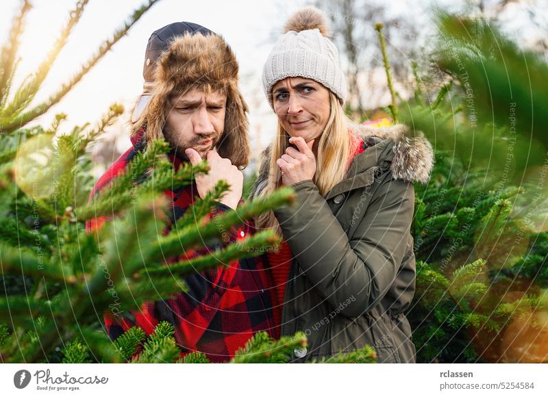 Couple look skeptical which christmas tree they should choose to buy at the Christmas tree sale standing in the midst of fir-trees selection pine tree woman