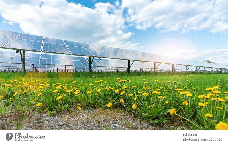 Solar panel under blue sky with sun. dandelion meadow and cloudy sky. Alternative energy concept solar clean power electric photovoltaic field light green