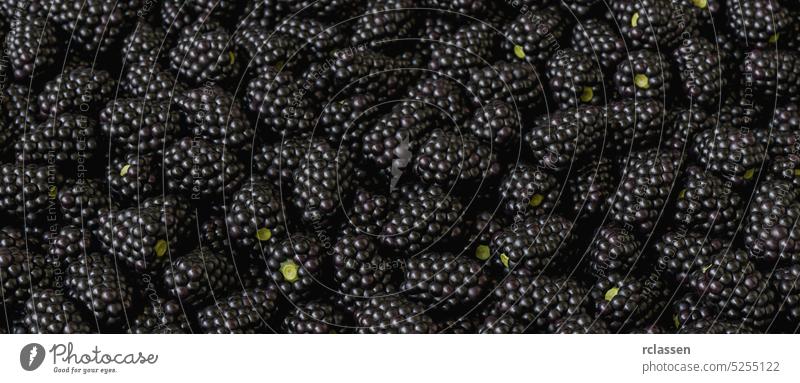 fresh Blackberries on a market blackberry background antioxidant fruit wallpaper food summer color farm agriculture healthy diet natural organic nutrition