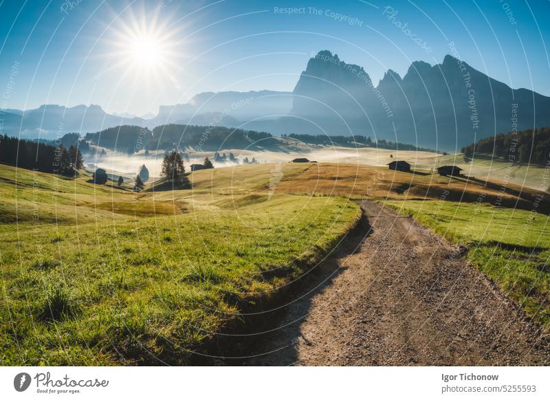 Sunrise in Italian Dolomiti Alps. Road and meadows at Seiser Alm or Alpe di Siusi location, Bolzano province, South Tyrol, Italy, Europe dolomites italy morning