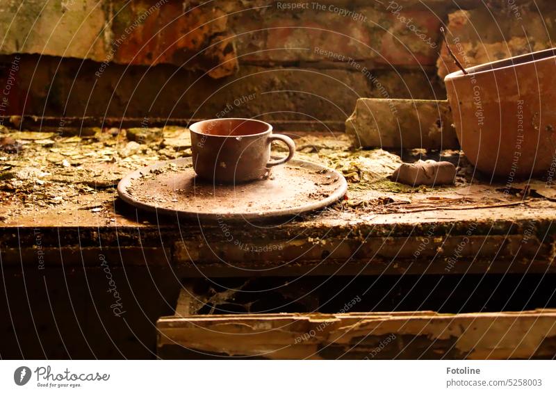 Well, it doesn't look very hospitable here. The clay plate and cup are completely filthy and sit on a rotting table in a run-down lost place. Plate Cup Tone