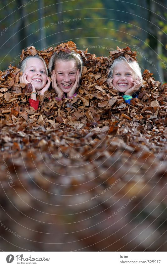 Girls in foliage Joy Happy Garden Human being Feminine Infancy 3 8 - 13 years Child Nature Landscape Autumn Forest Happiness Leaf Hide Hiding place Print media