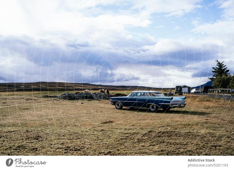 Vintage car parked on grassy field near horses meadow countryside retro nature animal vehicle vintage rural cloudy iceland purebred auto automobile pasture farm