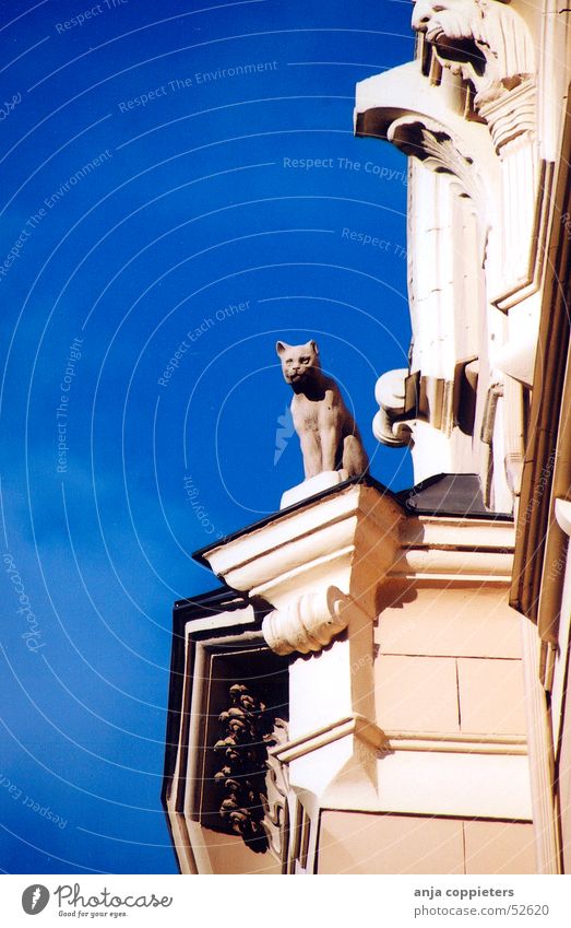 Kitty watch Cat Art nouveau Latvia Riga Sky Statue built blue Architecture