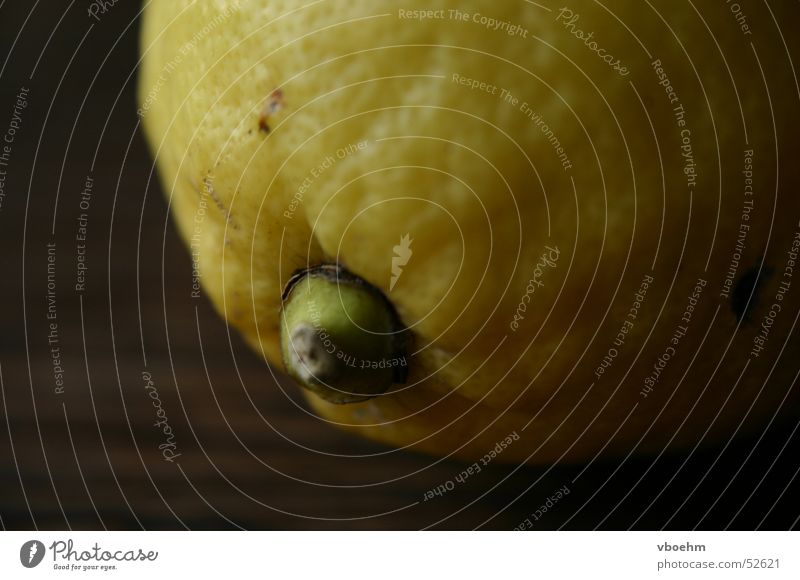 lemon Lemon Yellow Brown Detail Macro (Extreme close-up)