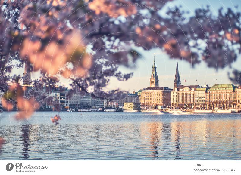 Hamburg Jungfernstieg at the Binnenalster Alster Hamburg city hall Exterior shot Town City hall Tourist Attraction Colour photo Water Port City Downtown