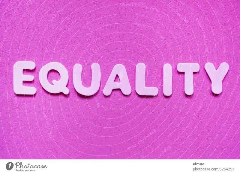 EQUALITY is in light pink on pink background / equality equivalence Match Identity Equal Opportunity equal opportunity Emancipation equal rank Conformity Blog