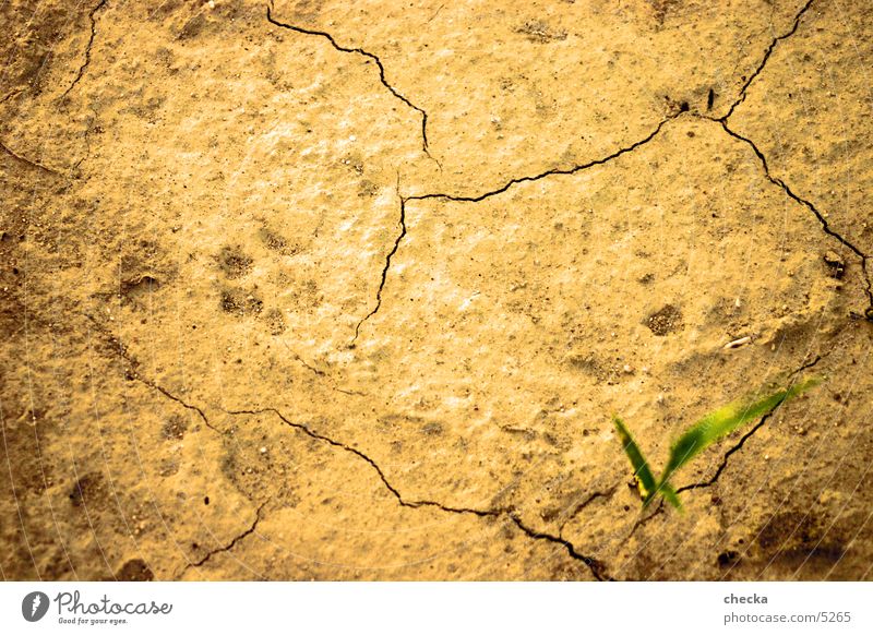 desert soil Dry Badlands Subsoil Desert Earth Floor covering Crack & Rip & Tear