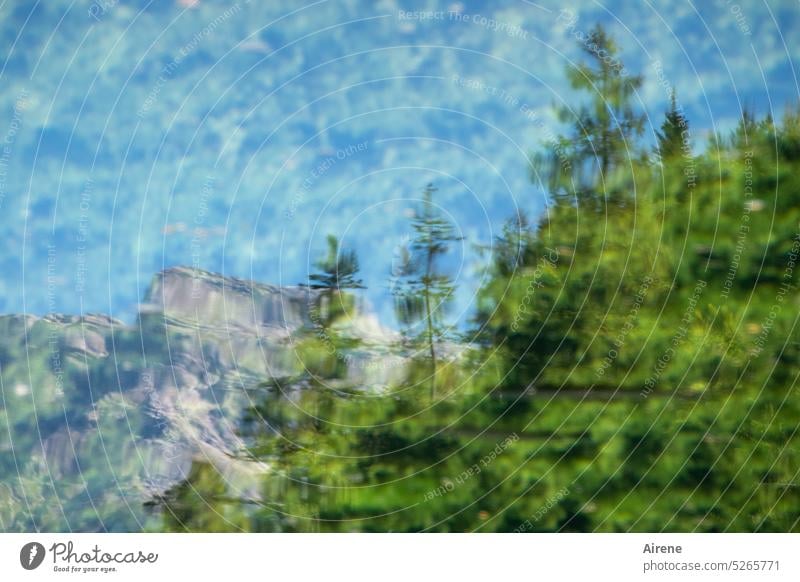 water landscape pond schiederweiher Alpenland crystal clear Gorgeous Mountain forest Pond Surface of water reflection mountain Sky blue water quality Reflection