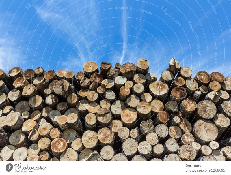 Stack of cut timber background blue brown cloud ecology energy firewood forest fuel industry logs lumber material natural nature outdoors pile pine renewable